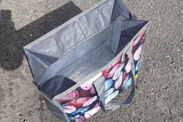 The kittens were abandoned ion this Aldi cool bag (Pic: Scottish SPCA)