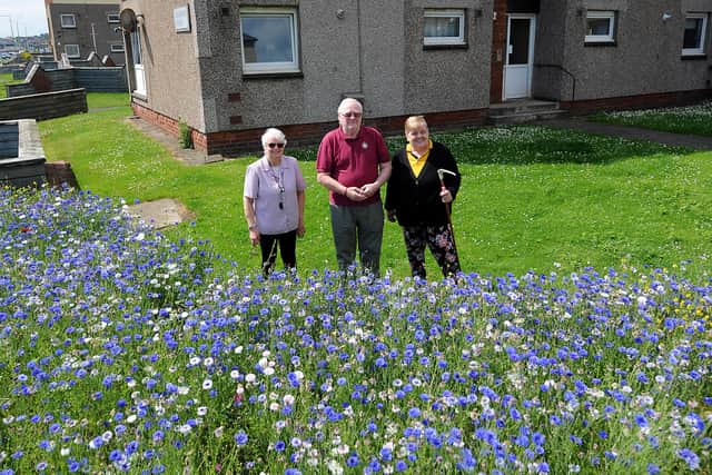 Neighbours, Celia Proctor, Alistair Brownlie, and Nancy Varney with the wildflowers at Buchanan Court. Pic: Fife Photo Agency.