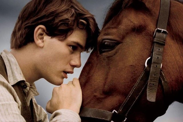 War Horse:
Steven Speilberg's 2011 smash hit certainly tugged at your heart strings.
The film told the story of Albert and his beloved horse, Joey who are forcibly parted when the animal is sold to the British cavalry.
It starred David Thewlis, Emily Watson and Jeremy Irvine.
