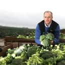 Andrew Faichney, managing director of East of Scotland Growers