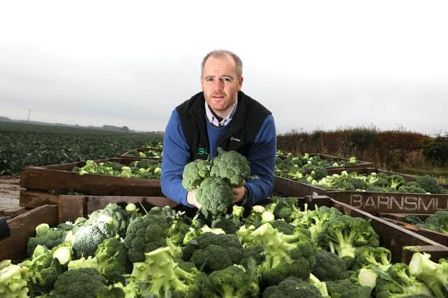 Andrew Faichney, managing director of East of Scotland Growers