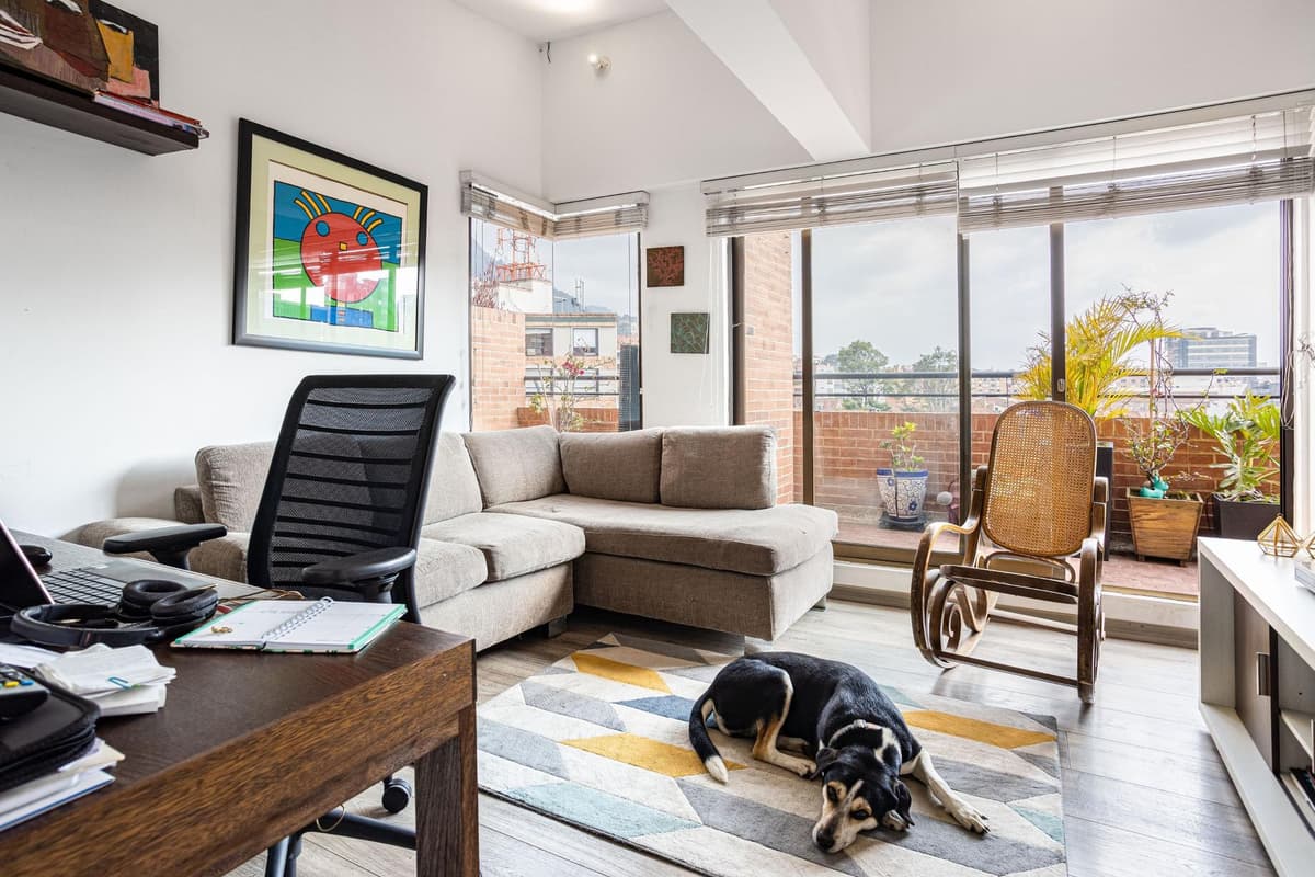 The 10 best dog breeds for people living in a flat or apartment