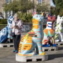 The cats gathered in the Town House before their big auction | Pic Cath Ruane