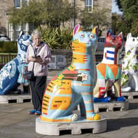 Kirkcaldy’s big cats brought joy to so many – so what comes next?