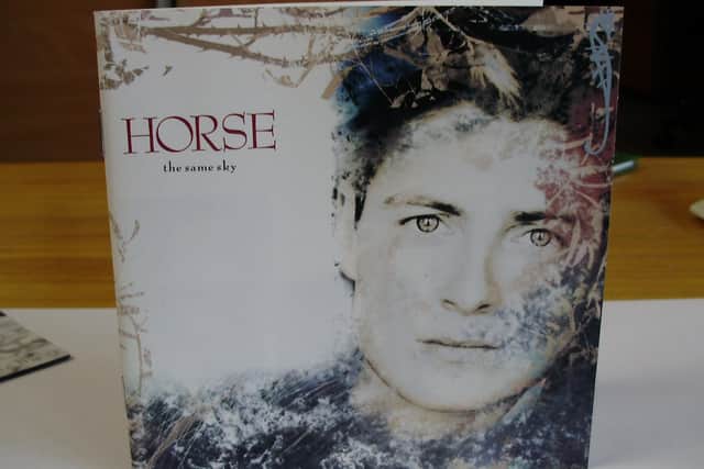 Horse McDonald - the cover of the album The Same Sky