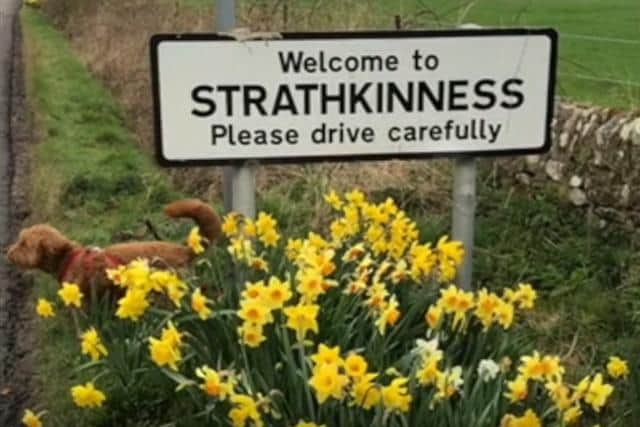 Strathkinnes
