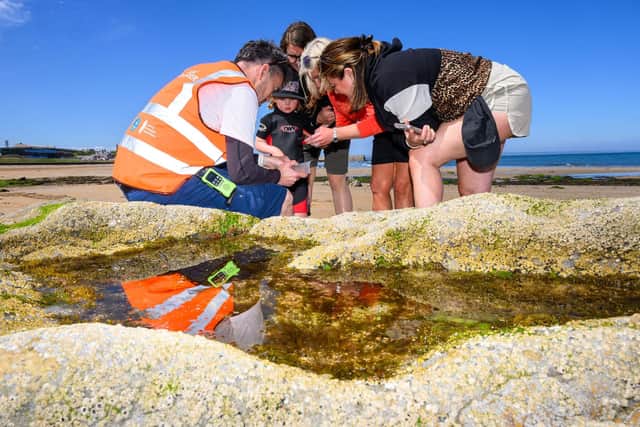 ScottishPower Foundation Trustees, Lousie Smith and Melanie Hill, join Dr Ben Holt, CEO of The Rock Pool Project, as the debut Scottish BioBlitz event takes place.