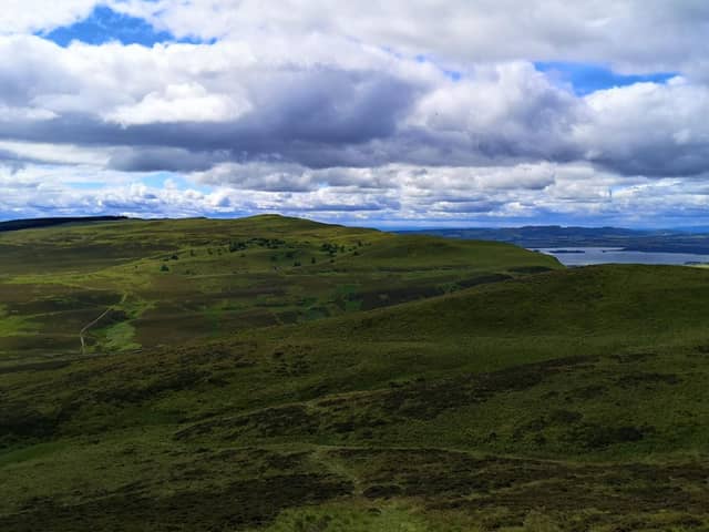 Fife's Lomond Hills woodlands will see major development through the work (Pic: Submitted)