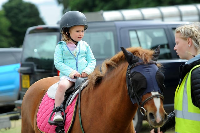 Pony rides were among the highlights of the day for young family members.