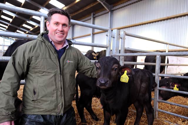 Steve Mitchell with the buffalo calf he helped to deliver. Pic: Fife Photo Agency