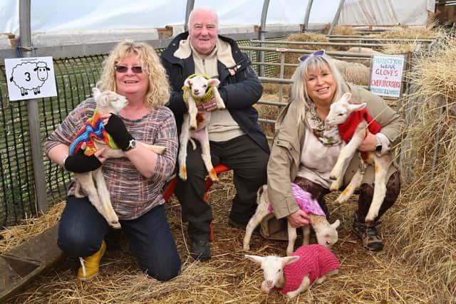 Lottery winners Jannette Wedgeworth, Ken Wedgeworth and Libby Elliot pose with the first new-born lambs of 2023 after providing them with new coats(Pic: Anthony Devlin)