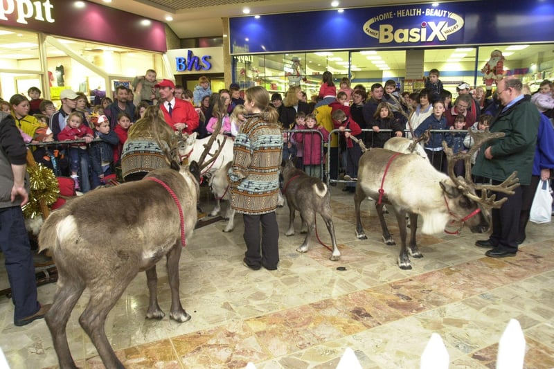 The reindeer parade forms part of the Mercat Shopping Centre's Christmas celebrations