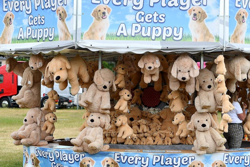 One of these cuddly toys could be going home with you ...