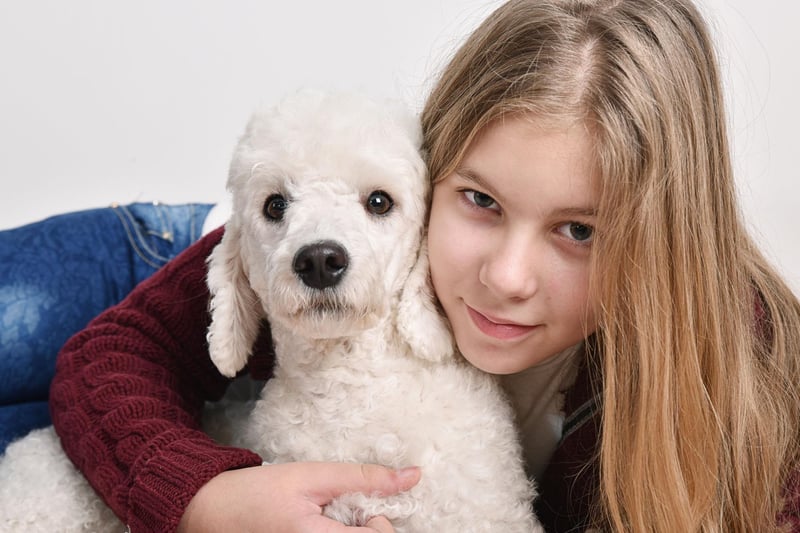 Coming in three sizes depending on the size of your home - Toy, Miniature and Standard - Poodles make for an easy-going buddy for teens. They are relatively simple to train and love learning new tricks, although their coat does need some maintenance.