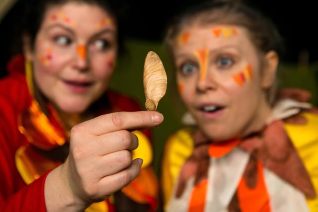 The Whirlybird – a funny, playful and uplifting show featuring movement, music, birdsong and puppetry is at the Byre Theatre, St Andrews on Thursday, October 12.
