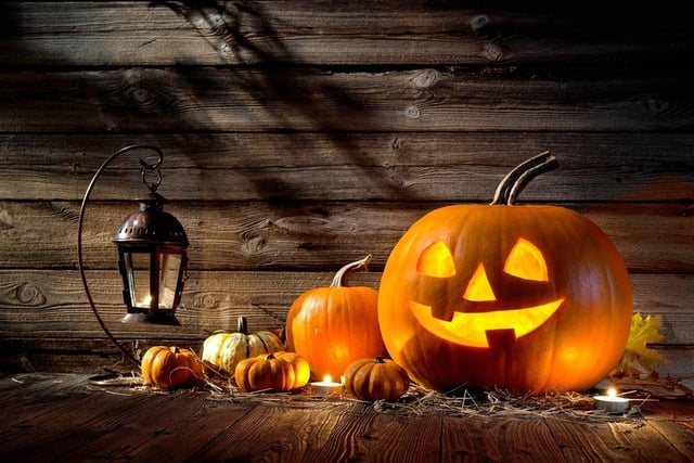 The Pumpkin Party returns to The Ecology Centre on October 30.  Pick your pumpkin and then you can carve and transform it into a spooktastic Hallowe’en lantern.  Children must be supervised by an adult.  Tickets must be booked in advance.