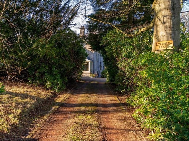 Driveway.