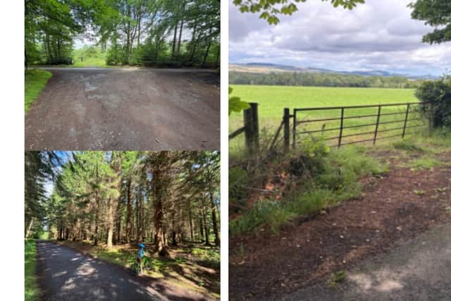Chancefield Woodland.(Pic: Fife Council planning papers)