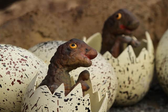 Baby maisura dinosaurs will be part of Edinburgh Zoo's forthcoming exhibition.