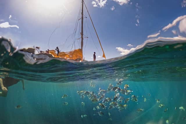 Shoals of fun in St Kitts. Picture: Sam Pelly