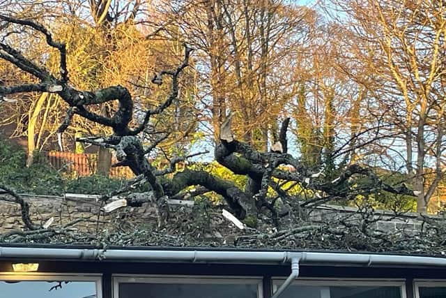 Linktown Nursery had been based in premises at the back of the Nairn College building since 2019 until it was hit by a huge tree during Storm Arwen in November last year.