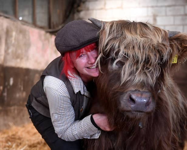 Dumble Farm owner Fiona Wilson is no stranger to cows and is delighted with the success of her 'cuddle a cow' experience which is drawing in new visitors.

