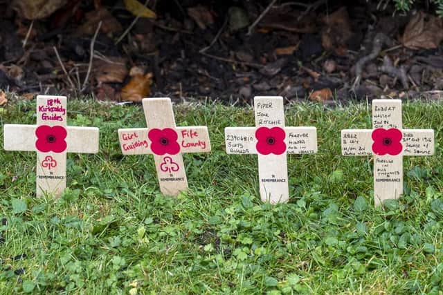 The crosses pay tribute to those named on the town's war memorial | Pic Cath Ruane
