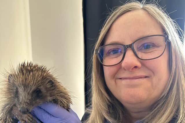 Sharon Longhurst, of Burntisland Hedgehog Haven, with one of the hedgehogs that came into their care.