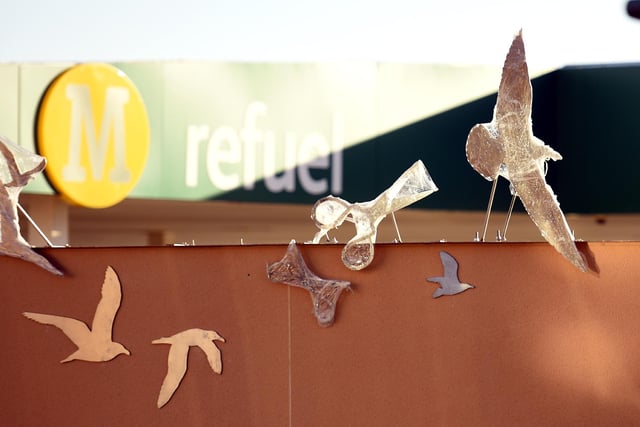 When Morrisons opened its store on Kirkcaldy's Esplanade, councillors wanted it to feature some artwork.
David Mach's contribution didn't last and was eventually removed, but these birds remain at the gateway to the town.
