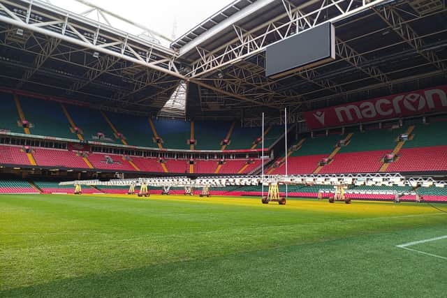 Pitchside at the Principality Stadium