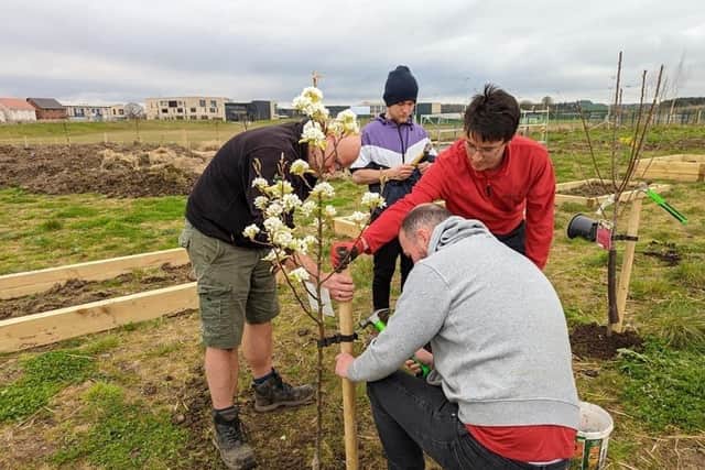 Fifers are being urged to apply for a £200 grant which will see them get the chance to grow a community orchard (Pic: Submitted)