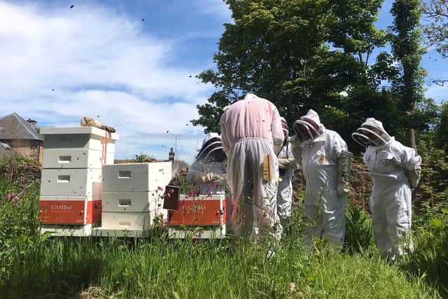 Webster Honey now has four beehives sited in the grounds of Cambo Gardens near Kingsbarns.