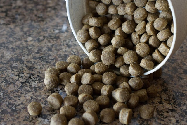 A pocketful of kibble - the protein-rich processed food made especially for animals - should have your pup hanging on your every command.