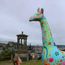 Colourful giraffe sculptures will take to the streets of the Capital next year.