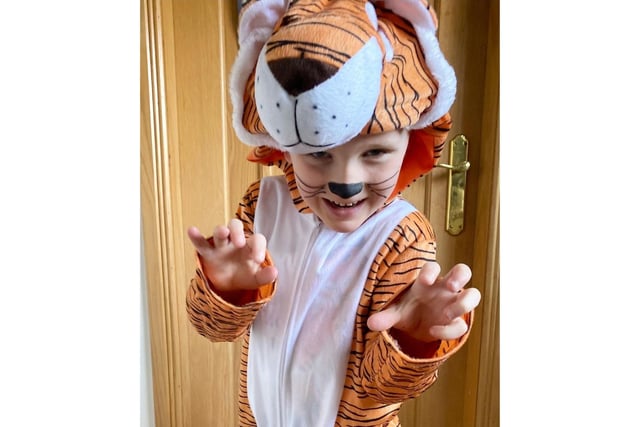 Spencer Stirrat, aged 5, from Kinghorn dressed as The Tiger Who Came to Tea.