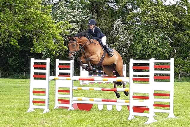 Showjumping is among the activities and displays taking place at the showground.