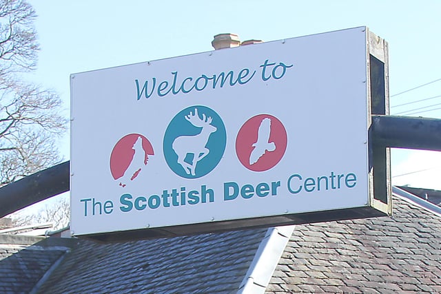 Visit Scotland’s first Easter Grotto at the Scottish Deer Centre.  Your chance to meet the Easter bunny and get an exclusive Scottish Deer Centre egg.  Hunt for easter eggs around the park using the special map to win a prize.  Running daily until April 17 from 10am to 4pm.  Easter experience tickets are £6.95 per child and are in addition to standard entry tickets to the park. Visit www.scottishdeercentre.co.uk