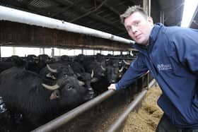Farmer and Owner of the Buffalo Farm Kirkcaldy Steve Mitchell  (Pic: George McLuskie)