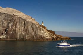The Bass Rock is a haven for many species of seabirds