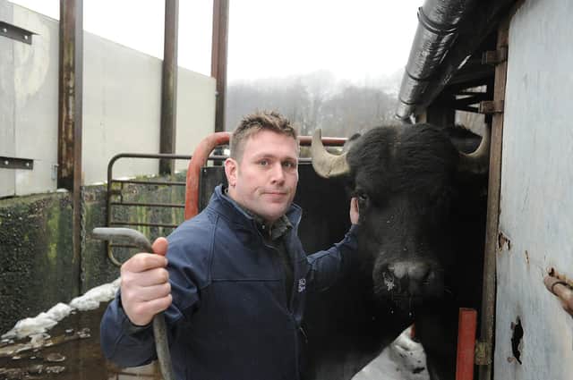 Farmer and owner of the Buffalo Farm Kirkcaldy Steve Mitchell (Pic: George McLuskie)