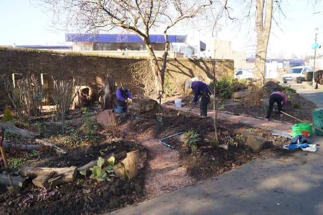 Members of Growing Kirkcaldy have been working hard throughout the winter to develop the stumpery in Kirkcaldy's War Memorial Gardens.