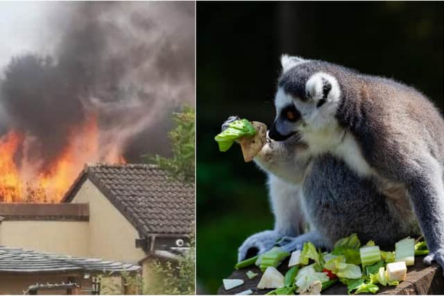 Fife Zoo has said it will remain closed on Monday following a fire. Picture left: Fife Jammers Locations.