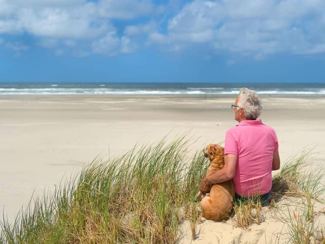 Certain breeds of dog make great companions for the more elderly owner.