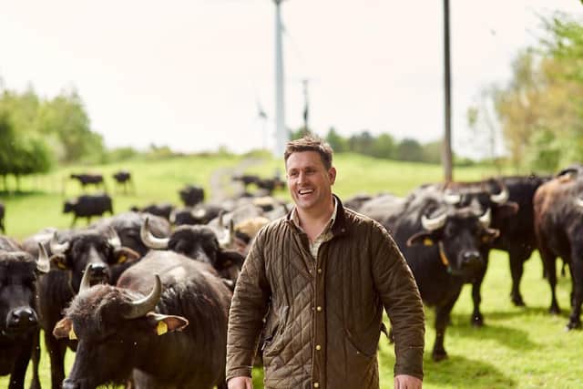 Steve Mitchell runs the Buffalo Farm which produces buffalo mozarella in Fife