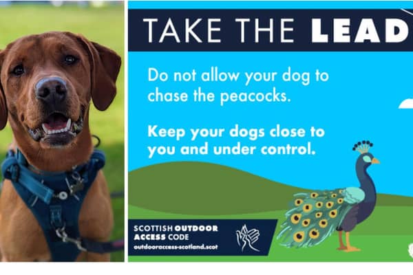 The 'Take The Lead' campaign launches this week in Fife (Pics: Submitted)