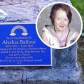 The plaque has now been replaced after 20 years of traffic caused significant wear and tear to the original, inset Alyshia (Pic: Cath Ruane)