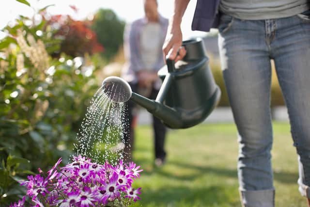 Put away your garden hose - use a watering can instead,