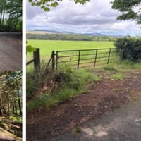 Outdoor learning venture for Fife woodland approved