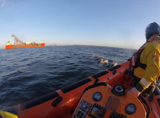 Dolphins come to greet Kinghorn RNLI just off Burntisland during a training exercise.