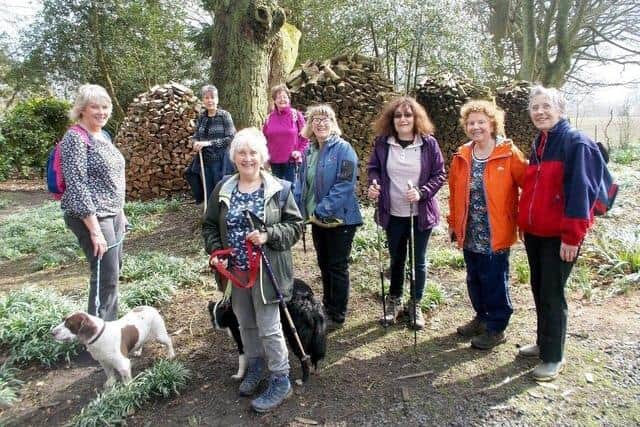 Marilyn Edwards (front) with some of the participants who took part in the 2019 Spring Walking Festival.